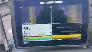 Marking fish next to a bait ball  Lake Superior humminbird fishing sonar fishfinder walleye [upl. by Charmion]