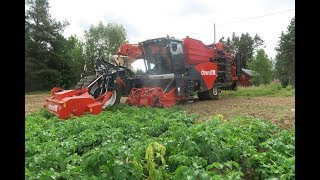 DEWULF RQA3060 selfpropelled potato harvester [upl. by Louis146]