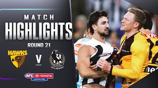 Hawthorn v Collingwood Highlights  Round 21 2023  AFL [upl. by Azzil]