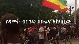 Anchor Media የቡሬ ዳሞት ብርጌድ ተጋድሎ የአገዛዙ ሰራዊት እየፈለሰ ነው [upl. by Panthia]