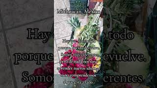 michoacan mexico griselrodriguez libroscongrisel fruta fruit fruita frutta Obst [upl. by Hunger]