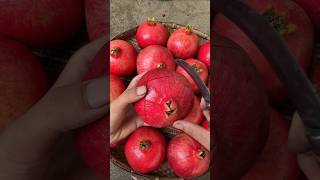 Cutting skill ripe sweet pomegranate fruit fruits fresh fruitcutting satisfying [upl. by Rhoads]