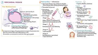 Pericardial disease [upl. by Ydnar]