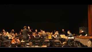 Rony Barrak with Martin Grubinger amp Camerata Salzburg orchestra preview video [upl. by Anait131]