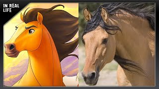 Spirit O Corcel Indomável na Vida Real  Spirit Stallion of the Cimarron In Real Life [upl. by Liu]