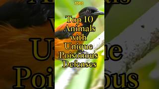 Top 10 Animals with Unique Poisonous Defenses [upl. by Ycnaf]