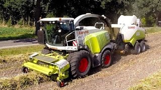 DUNAGRO uit Oude Pekela met CLAAS Jaguar 970 in Hemp [upl. by Adnovad910]