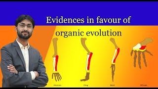 Evidences in favour of organic evolution UrduHindi Part 1 [upl. by Navis]