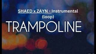 SHAED x ZAYN  Trampoline Instrumental short loop [upl. by Agathy]