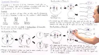 Aneuploidy and Nondisjunction Part II [upl. by Yerffe188]