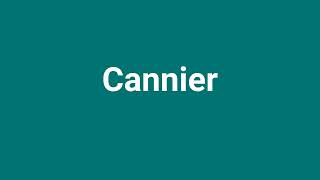 Cannier Meaning and Pronunciation [upl. by Einotna902]