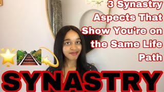 3 Synastry Aspects That Show You’re on the Same Life Path [upl. by Ralyat559]