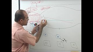 Inflammation  Vascular Events  Immunology  Dr Najeeb [upl. by Haeluj341]