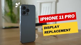 Apple Iphone 11 Pro  Screen repair  Display replacement  Repair video [upl. by Kohn]