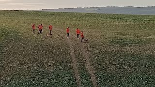 chasse sangliers cerfs chevreuils 4eme journée à la traque beaucoup danimaux vus [upl. by Ika556]