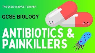 GCSE Biology Antibiotics and Painkillers  AQA OCR Edexcel [upl. by Swisher]