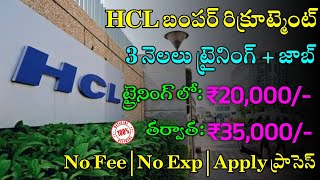 HCL Recruitment 2024  Latest Jobs In Telugu  Jobs In Hyderabad Work From Home Jobs 2024 [upl. by Brenden]