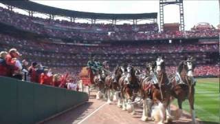 Alex meets the famous Budweiser Clydesdales as part of World Wish Day on April 29 2011 [upl. by Aeniah]