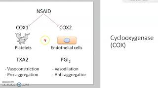 NSAIDs Pharmacology [upl. by Retse]