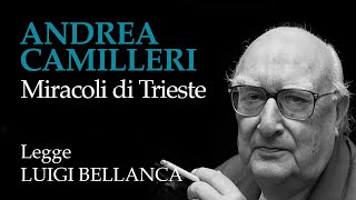 Andrea Camilleri  Miracoli di Trieste  11° racconto da “Un mese con Montalbanoquot [upl. by Dido]