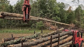 Using Buck Saw on Log Yard [upl. by Zilvia]