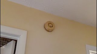 Home smoke alarm search in North Carolina Vintage FireX smoke alarms [upl. by Lanni]