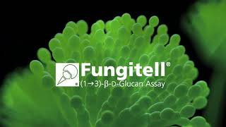 Fungitell® Promo Video [upl. by Haelem]