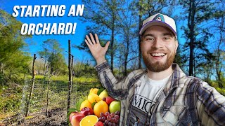 Starting A Food Forest On My Abandoned Property Zone 9 Texas [upl. by Ycnay]