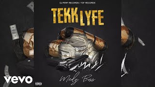 Medz boss  Tekk lyfe Audio Visual [upl. by Adore]