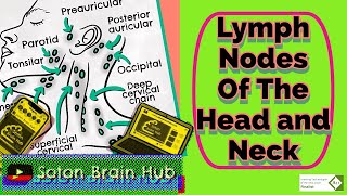 Clinical Examination of Head and Neck Lymph Nodes  Clinical Skills  Dr Gill [upl. by Sesilu427]