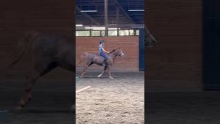 Barback lessons are fun but SO hard 😬❤️🫶🏻 youtubeshorts hobbyhorse equestrian horsey [upl. by Deerc]