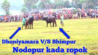 Dhoniyamara VS Bhimpur  nowa do Nodopur kada ropok video 2024 [upl. by Nayt]