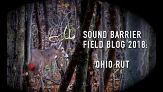 Ohio Whitetail Rut Hunt 2018 [upl. by Etnovaj]