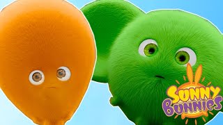 Sunny Bunnies  Funny Bunnies  Compilation mix  Wildbrain cartoons for kids [upl. by Silra]