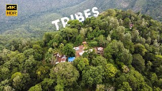 Indian Village Life 🇮🇳 Journey into the Rural India  Tamil Nadu  Village Ooty [upl. by Idoj]