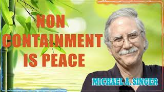 Michael Singer  Non Containment is Peace [upl. by Grimes]