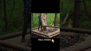 Building a natural dugout shelter Roof bushcraftimprovisation bushcraft [upl. by Shelden764]