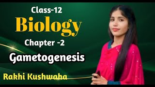 Gametogenesis  Unit Reproduction Ch 2  Part3  by Rakhi Kushwaha [upl. by Silver]