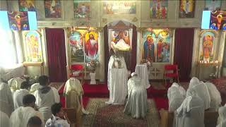 Medhanie Alem Ethiopian Orthodox Tewahedo Church KC Live Stream [upl. by Analrahc]