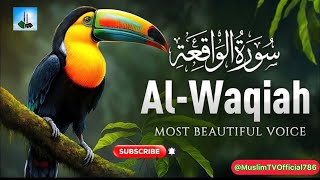 Surah Waqiah  Full with Arabic  سورہ واقعہ Beautiful Recitation  Heart Touching Voice  epi00156 [upl. by Naesal]