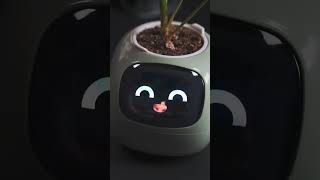 Ai plant port for home and apartment products bestproducts [upl. by Hebner]