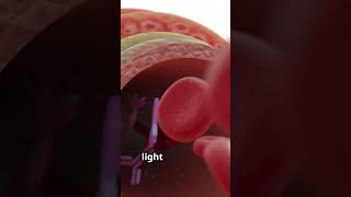 Biomarker Detection Simplified Homogeneous Luminescence Assay biomarkers immunoassay [upl. by Eeruhs438]