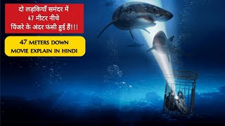 47 Meters Down 2017 Movie Explained in Hindi Urdu [upl. by Disario674]