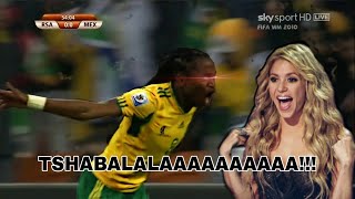 Tshabalala World Cup 2010 Goal  Waka Waka Edition [upl. by Durwood307]