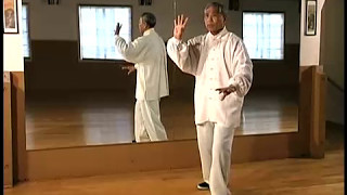 WuHao Tai Chi Chuan  Part 1 [upl. by Anaicilef]