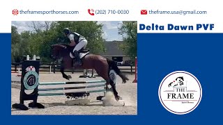 Delta Dawn PVF  July Hunt Club Farms HT Stadium [upl. by Ybbor527]