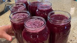 HOW TO MAKE CONCORD GRAPE JUICE  “BESTEVER”  WATER BATH CANNING  “OLDSCHOOL” TECHNIQUE [upl. by Valdas]