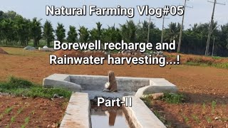 Natural Farming Vlog05 rainwater rainwaterharvesting agriculture [upl. by Uol]