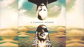 Common amp Stevie Wonder  A Common Wonder  Amerigo Gazaway Full Album [upl. by Ardnassak960]