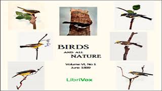 Birds and All Nature Vol VI No 1 June 1899 by VARIOUS read by Various  Full Audio Book [upl. by Assirol]